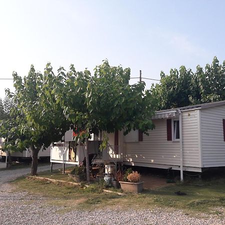 Camping Vila Village Sant Feliu de Buixalleu Екстер'єр фото