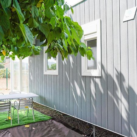 Camping Vila Village Sant Feliu de Buixalleu Екстер'єр фото